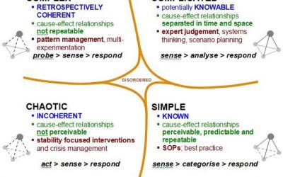 Cynefin Framework Changed How I Think About…